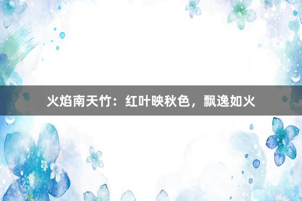 火焰南天竹：红叶映秋色，飘逸如火