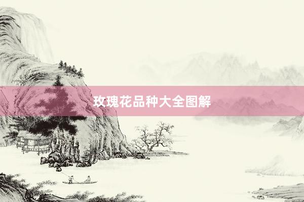 玫瑰花品种大全图解