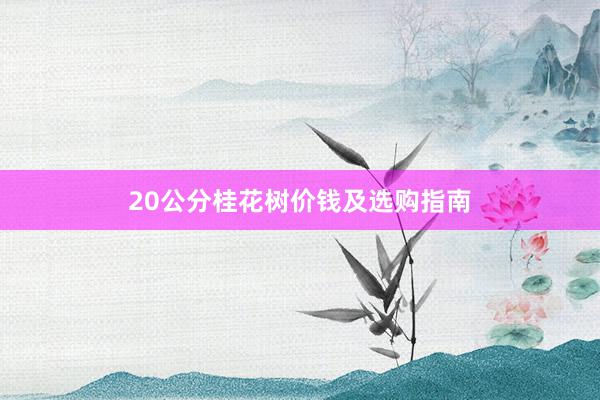 20公分桂花树价钱及选购指南
