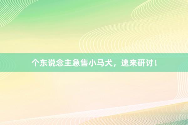 个东说念主急售小马犬，速来研讨！
